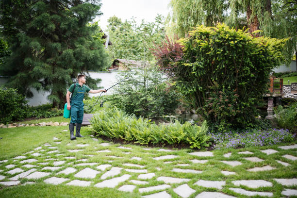 Best Wasp Removal Services  in Yellville, AR