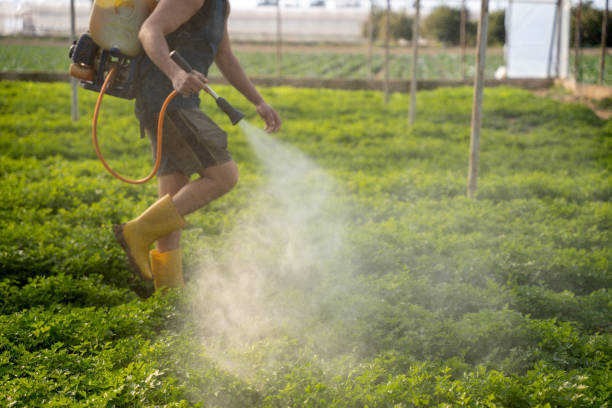 Best Pest Inspection Near Me  in Yellville, AR
