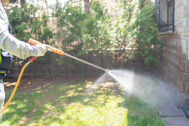 Best Wasp Removal Services  in Yellville, AR