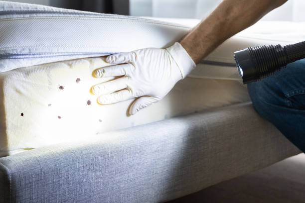 Best Wildlife Control Services  in Yellville, AR