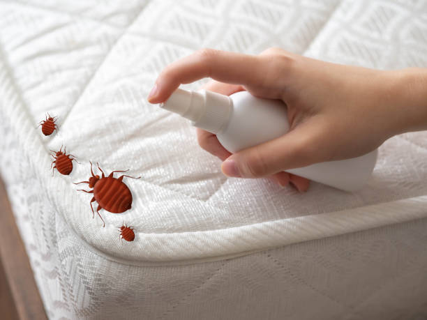 Best Best Pest Control Companies  in Yellville, AR