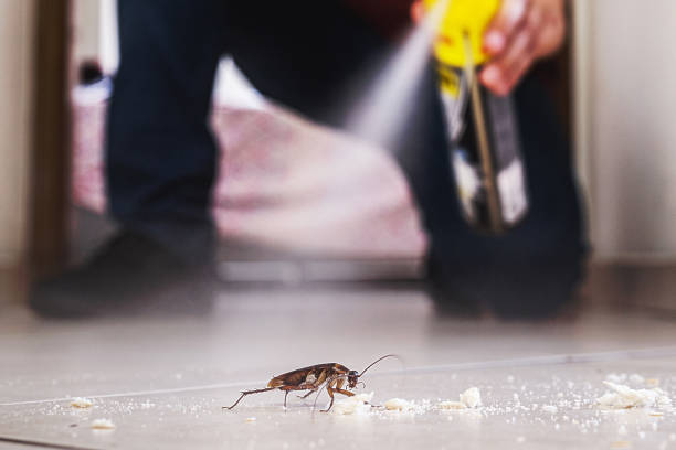 Best Exterminator Services  in Yellville, AR