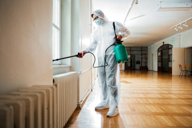 Best Pest Control for Businesses  in Yellville, AR